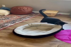 das Bett nehme ich mit in mein Haus