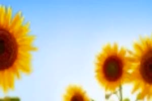 CHRIS MONTEZ - The More I See You 1966