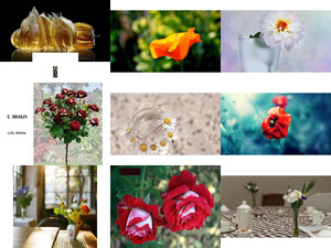 Fleurs 2 ... Fevrier 2014 - Blumen 2 ... Februar 2014