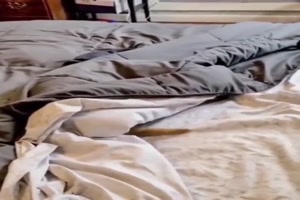 Hund hat sich super versteckt