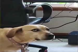 Hey Mensch, was machst du da?