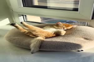 Just relax