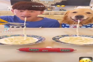 Dog Pes