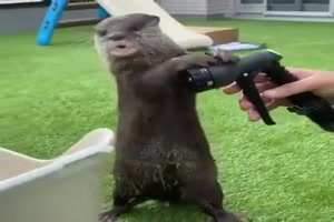 Spiel mit dem Wasser