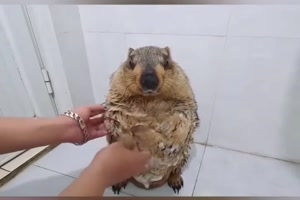 Scheint ein Ritual zu sein