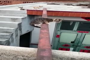 Nochmal gut gegangen