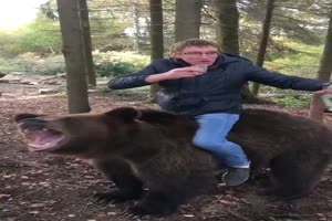 Verlebter Typ