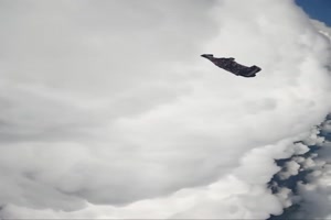 Wingsuit