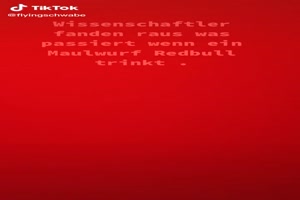 Da geht was