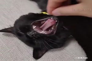 Ausgetrickst