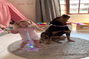 Besonderes musikalisches Duo