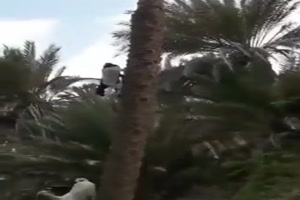 Wie ist das mglich?