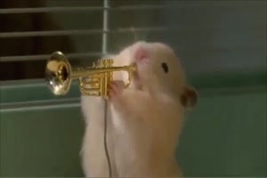 Guten Morgen