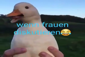 Wenn Frauen diskutieren