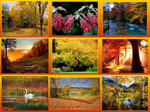 klicke hier, um die Datei herunterzuladen Herbst18