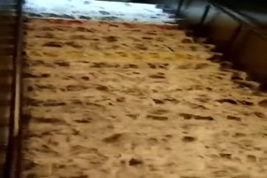 Auch eine Mglichkeit die Treppe zu putzen