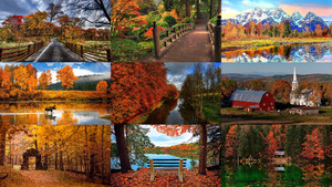 klicke hier, um die Datei herunterzuladen Beautiful Autumn 25