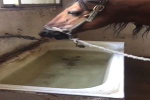 Das Wasser bleibt an