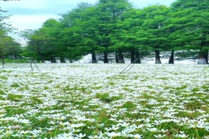 Natur2