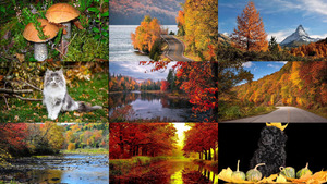 klicke hier, um die Datei herunterzuladen Beautiful autumn 27