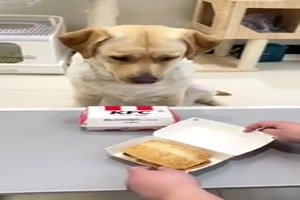 Dieser Blick