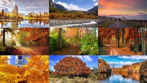 klicke hier, um die Datei herunterzuladen Indian Summer