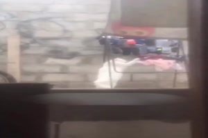 Katze h�ngt mal die W�sche ab