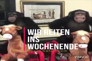 weiter
