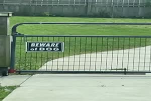 Ein wirklich gefhrlicher Hund