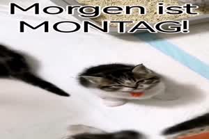 Morgen ist Montag