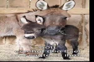 weiter
