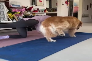 Gemeinsam Sport machen