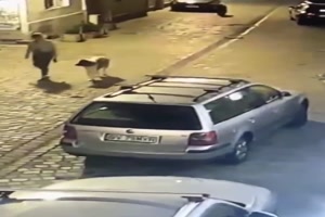 Beim Gassi gehen