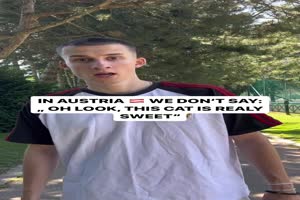 Wie wir in sterreich sagen