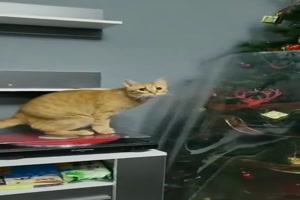 Welch Entt�uschung