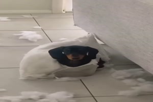 Instant Karma