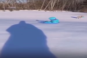 Volltreffer im Hundehaufen