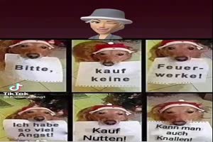 weiter