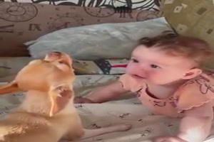 Hund ist guter Babysitter