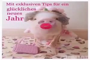 Tipps frs neue Jahr