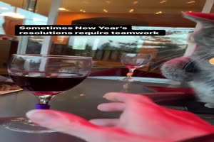 Finger weg vom Alkohol