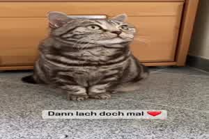 weiter