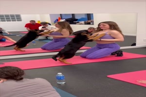 Yoga mit Welpen