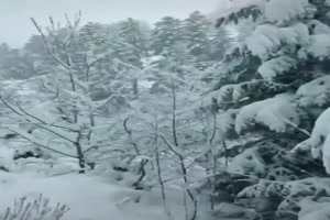 Mit der Bahn durch den Winter