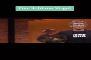 SASCHA GRAMMEL - Der schlaue Vogel