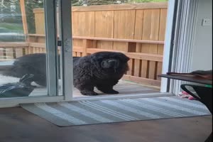 The door is open