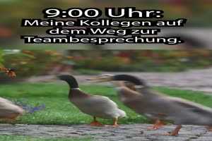 auf dem Weg zur Teamsitzung