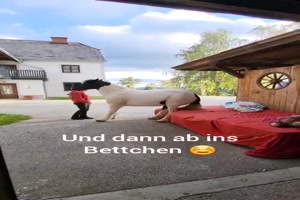 Tgliches Ritual