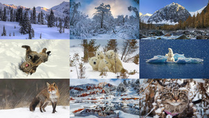 klicke hier, um die Datei herunterzuladen Winter 28