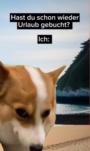 weiter